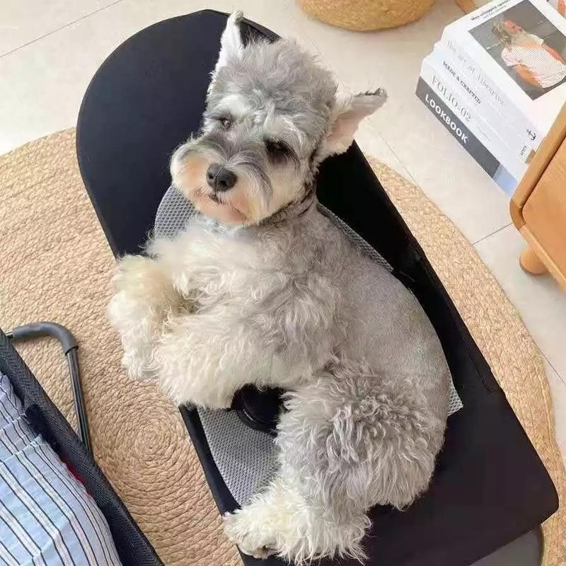 Pet Rocking Bed Chair