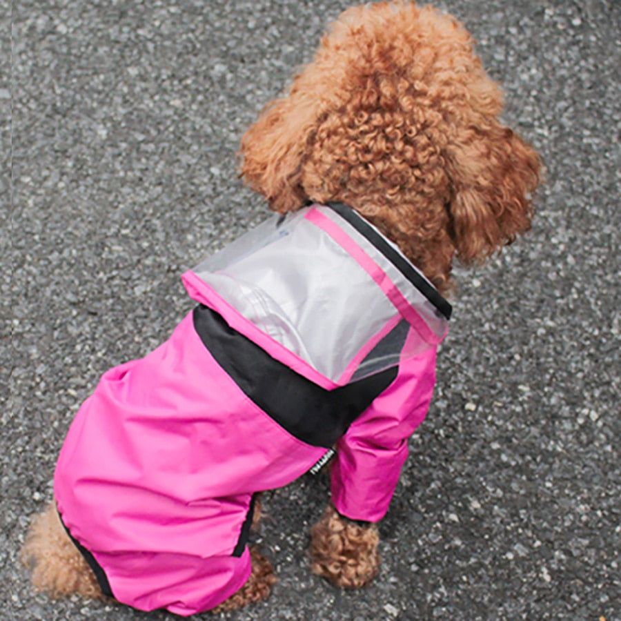 Dog’s raincoat